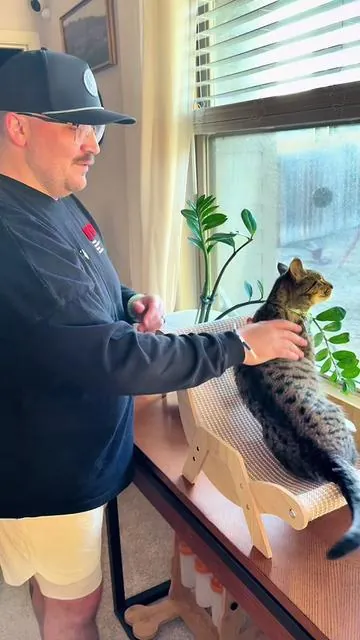 This new cat recliner we bought is the cats new favorite spot in the house! #catlovers #aestheticcatfurniture #usefulpetproducts #made4pets #tiktokshopcreatorpicks 