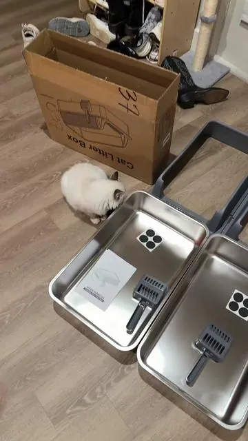 A 2 pack of stainless steel litterboxes for the price of 1 #stainlesssteellitterbox 