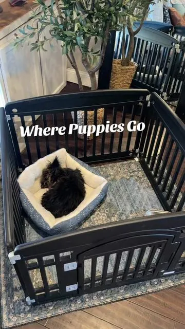 Affordable puppy puppy playpen 🤍 #tiktokshop #tiktokshopcreatorpicks #puppysetup #puppylife #petfinds
