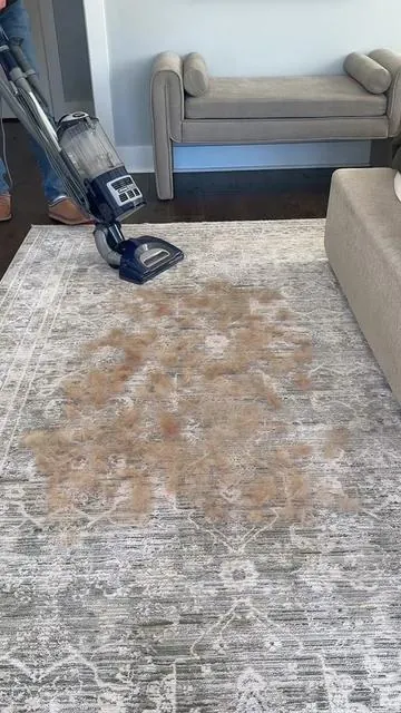 Finally a pet vacuum that does what it’s supposed to and is affordable! #sharkvacuum #vacuum #vacuumcleaner #petvacuum #tiktokshopcreatorpicks 