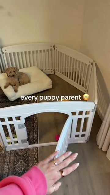The best space for playtime, the plastic playpen is perfect for puppies at home or outside. It's durable and sturdy, lockable door for security, nonslip bottom, portable for indoor and outdoor use! #petessentials #puppyplaypen #dogtok #petparent #puppy 