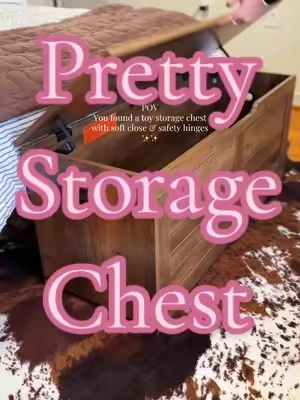 beautiful high quality storage chest for all the toys or pillows & blankets! 

#storagebox #toystorage #homestorage #homeorganization #tiktokshopcreatorpicks 
