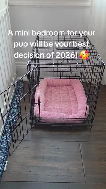 Don't sleep on this adorable puppy playpen. Best puppy purchase ever! ❤️🐶 . . #puppy #dogsoftiktok #tik#tiktokmademebuyit 