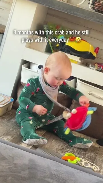 Everyday, this crab comes out to play. lol he throws it and then just holds it while it shakes. 🤣 #babytoysidea #toysforbabies 