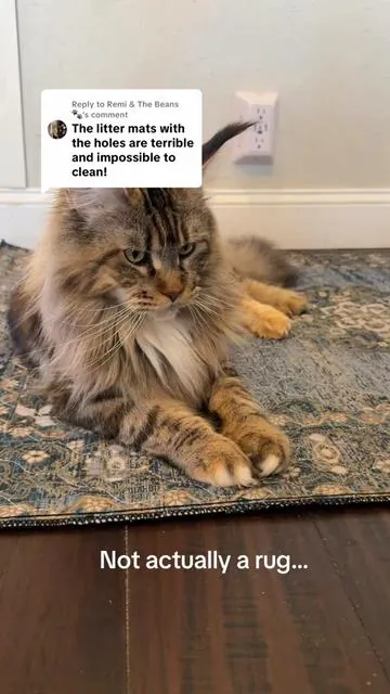 Replying to @Remi & The Beans 🐾  These dog pee pads make the best litter mats! #littermat #catlover #litterbox #catmom #tiktokshopcreatorpicks 