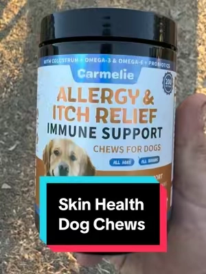 These Allergy Chews Have Been a Game Changer for My Bulldogs!  Carmelie Allergy & Immune Chews for Dogs – Itch Relief, Skin & Coat #dogallergyrelief, #dogsupplements, #doghealth, #tiktokshopstockup, #tiktokshopcreatorpicks 