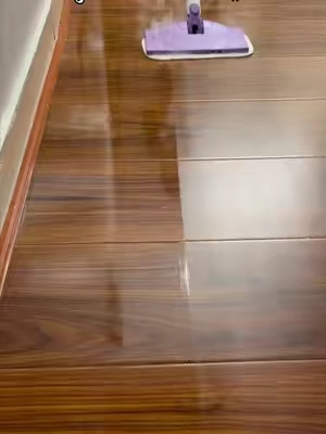 12-in-1 steam mop can clean your entire home 🏠 .