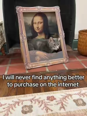 My cat scratchers have peaked at this. If it isn’t art cradling my cats, I don’t want it #catscratcher #catsoftiktok #cattok 