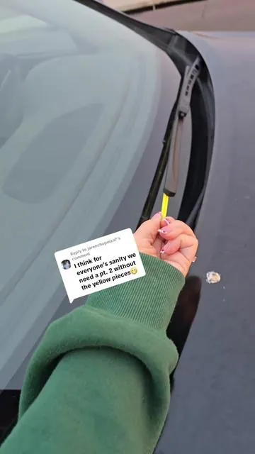 Replying to @jarenchapman7 ok ok next time ill do better 😅🤣#fanfavoritedeals #tiktokshopstockup #wipers #windshield #cartok 