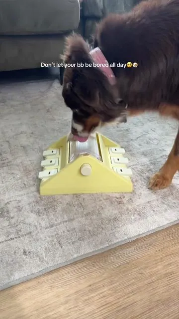 My dogs favorite dog puzzle for mental enrichment for her brain so she doesn’t get bored 🐶 #dogpuzzle #dogenrichment #mentalstimulationfordogs 