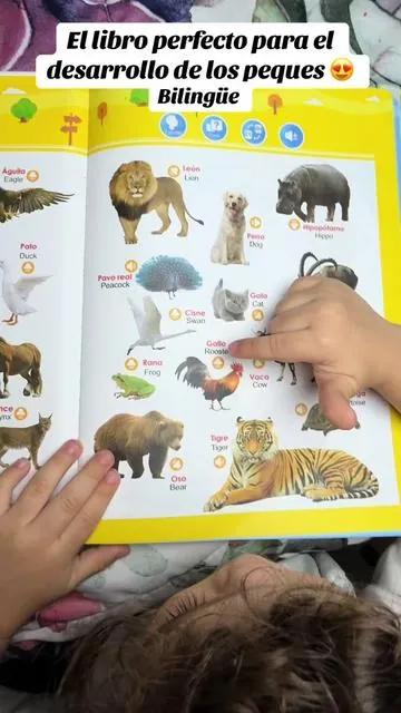 El libro perfecto para el descaro de los peques 😍libro en español en inglés libro con sonido, #bilingualbaby #toddlerbooks #toddlerlearning #toddler #ninosinteligentes 