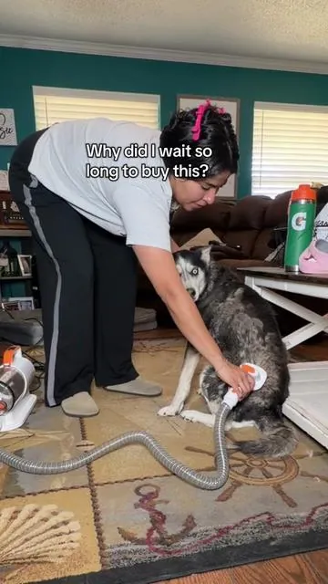 If you have heavy shedding dogs this will save you a lot of time! #petgroomingvacuum #groomingtips #groomingessentials #groomingtools #petgrooming 