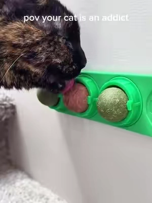 Should I be concerned? #catnip  #catlover  #catsoftiktok  #cat  #cats
