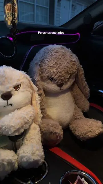 #sanvalentin #peluche #enojado #parejas #regalos 