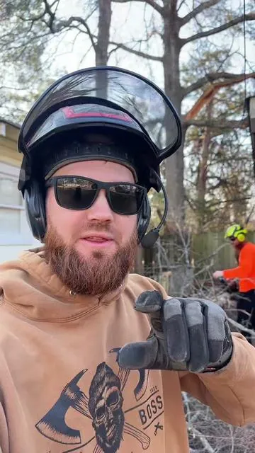 #treeservice #chainsaw #treecuttining #chainsaws 