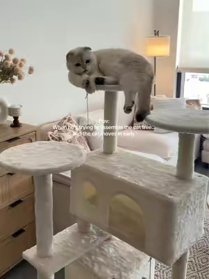 Cats can’t get enough of this 😹 must-have! #CatTree #CatObsessed #FurBabyLife #KittyLovers #TikTokShopCreatorPicks 