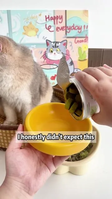 Don’t wait until your cat starts dry heaving nonstop before you think about hairball control！#cathealth #catfood #petnutrition #cattreat #catgrass #cat #freezedried #catlovers #catparent #catsoftiktok #cat #petsupplies #tiktokmademebuylt #pethealth 