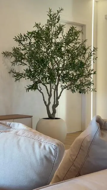This thing really completed our home 🥹 it comes with everything you see!  And this one is 8 feet tall! #olivetree #treedecor #homedecor #interiorstyling 