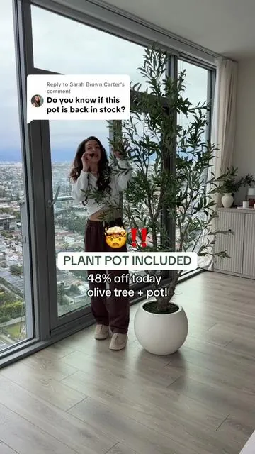 Replying to @Sarah Brown Carter FINALLY a plant pot + olive tree combo?!?! This is a NEW RELEASE from my favorite artificial olive tree brand 🤩 I got the 8ft Olive tree, but they have many size options!!! I LOVE IT SO MUCH! And it’s on sale today! #tiktokshopcreatorpicks #tiktokshophome #artificialolivetree #tiktokshophomefinds 