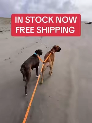 No tangle dog leash  #TikTokShopJumpstartSale #TikTokShopStockUp #tiktokshopstockup #dogsoftiktok #dogs 