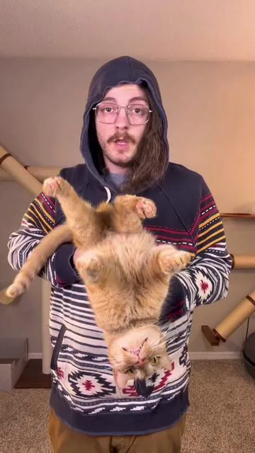 There’s so many ways to feed your cat this treat #catsoftiktok #catlovers #cat #cattips #cattreats 