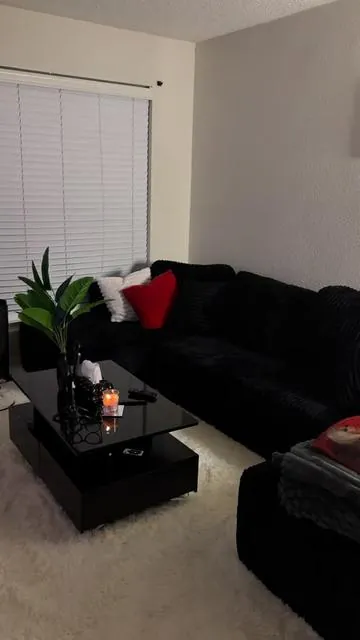 #fyp #decor #apartmentdecor #viral #apartmentmusthaves 