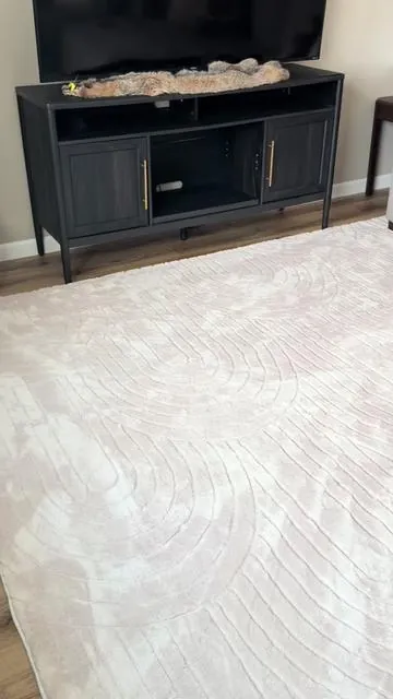 IN LOVE w this rug and it actually matches my space 🫶🏻 #rug #trending 