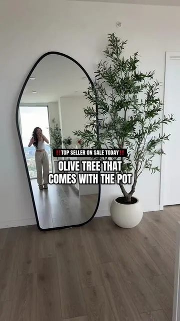 IT COMES WITH THE POT 🙌🏼🤩 these are so discounted right now and the 7ft already sold out! I got the 8ft one bc I have 9ft ceilings! This is my favorite olive tree brand and I loveeeee that they finally released an option to include the plant pot and moss! STUNNING! #tiktokshophome #artificialolivetree #tiktokshophomefinds #homedecor #tiktokshophomedecor 