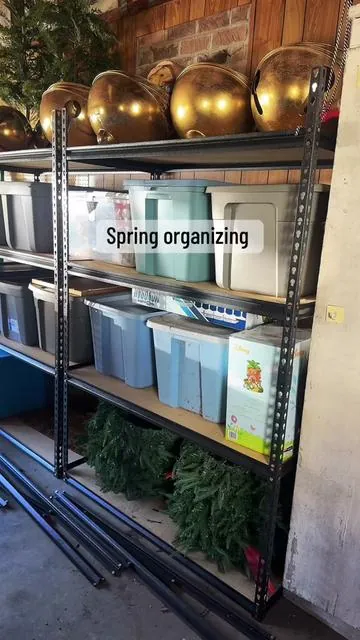 The best deal! #organize #organizedhome #springcleaning #shelf #shelves 