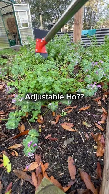 The weed puller works like a charm. #weedpuller #hoe #gardeningtips #gardeningforbeginners 