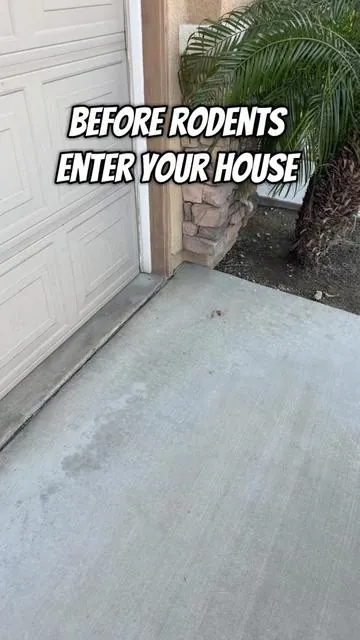 Keep Rodents Out with spring and summer it’s going to be rodent season. Time to get ahead of it and protect your home. Plant Based and safe for children and pets. #rodentrepellent #rodentcontrol #rodents #mice #tiktokshopstockup 