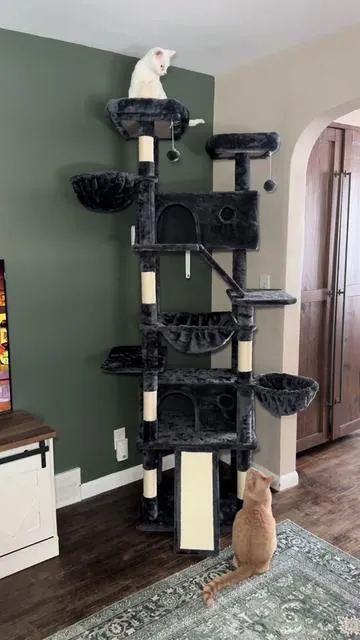 The cat mansion of cat trees!! This is the biggest cat tree I’ve ever seen at 82 inches tall; it’s absolutely impressive! Shown is the dark blue color. Check it out! @MUTICOR #catsoftiktok #cattok #ttshop 