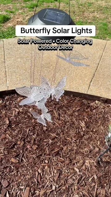 Butterfly solar light 🦋 Color changing solar butterfly wind chime for your porch Outdoor solar garden decor that automatically lights up at night ✨ #butterflysolarlight #solargardendecor #porchdecor #stockup @Toodour Store US 