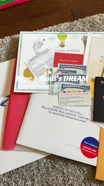 I’m a Type A mom and this document organizer tickles my brain 🥲 #documentorganizer #organization #typeAmom #typeA @Savor 