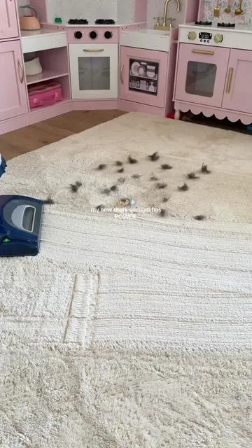 the way it DEEP cleans my carpets and picks up chunks of dog hair 😭🙌🏻 the power is as strong as everyone says 💨 #sharkvacuum #vacuumcleaner #petvacuum 
