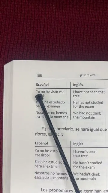 Learn English #english #book #aprenderingles #ingles #foryoupage 