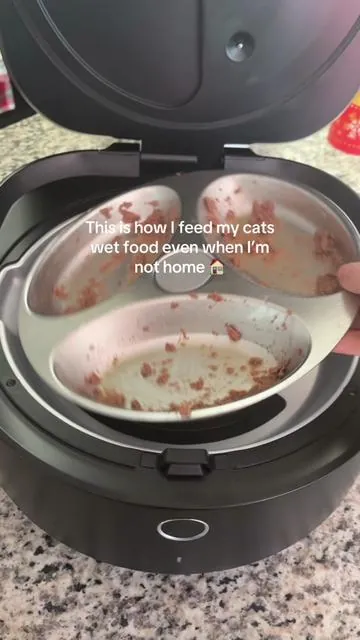 If you’ve ever wondered how to feed your cat wet food when you’re not home, this is the safest setup I’ve found. This refrigerated cat feeder keeps wet food stored cold and serves meals automatically at scheduled times, so your cat eats on routine even if you’re away overnight or traveling. I control everything from my phone, which makes it ideal if: • you work long hours • you travel or take overnight trips • your cat sitter cancels • you don’t want wet food sitting out #tiktokshopcreatorpicks #fanfavoritedeals  #tiktokshopstockup #TikTokShopSpringGlowUp  