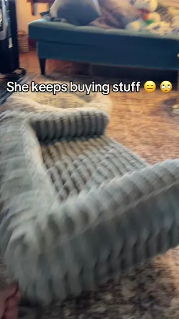 This orthepedic dog bed is worth every penny, I was wrong  