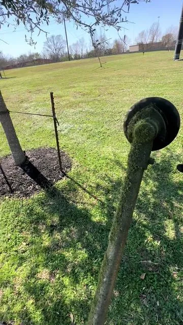 Cuando se termina el hilo de la #wira #parati #fermin #yardwork #trimmer 