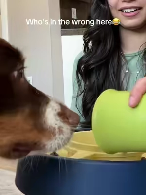This slow feeder works so well for mental enrichment as a dog puzzle for my pet