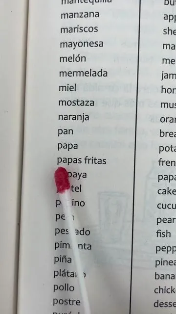 Si quieres aprender inglés este libro te va ayudar muchísimo #ingles #aprenderingles #libro #idiomas #foryoupage 