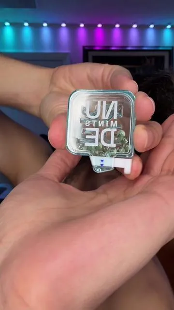 These nude mints are wildly strong omg #tiktokshopcreatorpicks #tiktokshopstockup #tiktokshopspringglowup  