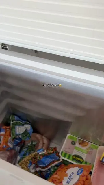 Def ordering more🤗 10 out of 10 recommend! Sooo organized 🤩 #organization #deepfreezer  