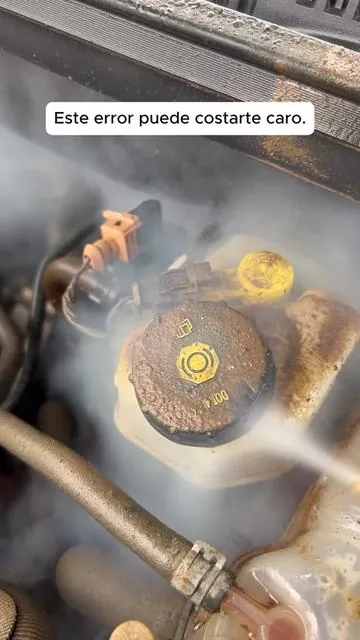 Professional-level engine cleaning you can do at home. #steamcleaner #steammachine #fyp #tiktok #tiktokshop 