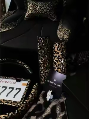 Obsessed 🤩✨🤎 #leopard #queensland #carinterior #cardecor #carseatcover 