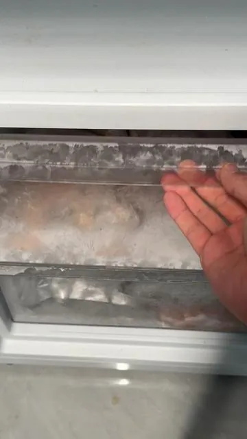 Lock in freshness and upgrade your fridge storage. Save your food (and money) 💵🥬🍖💖 Deals now: 50% OFF + free shipping, but only a few left! Hurry and grab yours now! #foodstorage #kitchenmusthave #momhacks #fridgeorganization #lifehack 