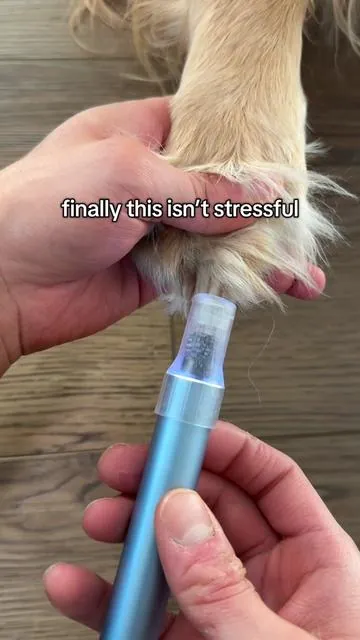 @Fanttik just launched a dog nail grinder and it’s a game changer! #doggrooming #dogaccessories #dognailclipping #dogmusthaves #tiktokshopcreatorpicks 