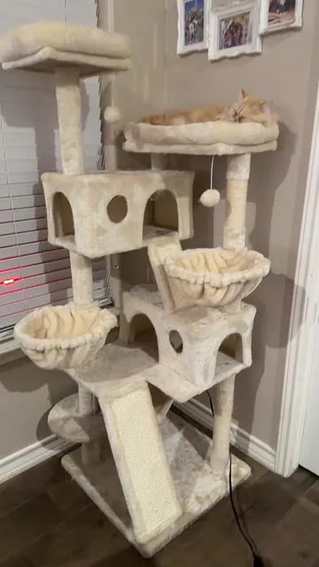 Get you cat there own space so they can relax and have fun as well #cattree #cattower #cat #cats #catmom 