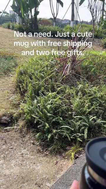 Not a need. Just a cute mug with free shipping and two free gifts.#weeklydeals #coffeepot #coffeemug #mothersdaygiftideas #coffeelover 