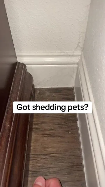 Pet Air Purifier